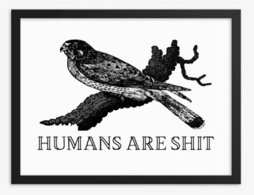 Humans Are Shit Framed   Srcset Data - Humans Are Shit, HD Png Download, Transparent PNG